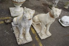 Pair of cast concrete lionesses, 85cm high