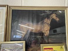 Reproduction print of a horse, framed and glazed