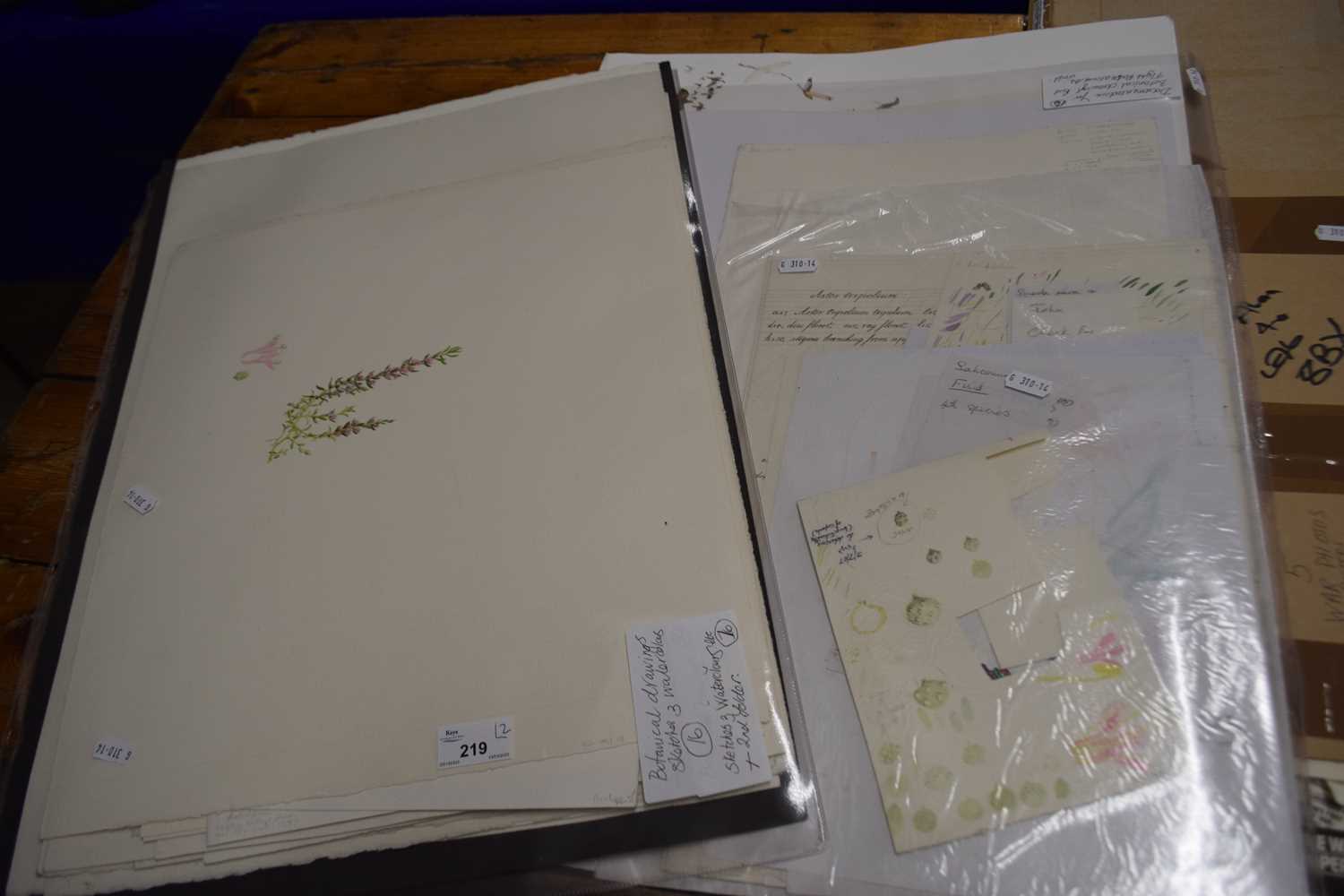 Two folders of various botanical drawings, flight map of birds of the world and other assorted