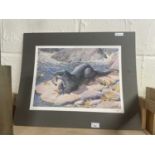 A reproduction print of an otter by C F Tunnicliffe signed in pencil, unframed