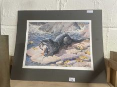 A reproduction print of an otter by C F Tunnicliffe signed in pencil, unframed
