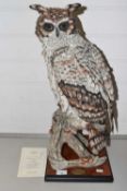 A Florence Italian model of an owl together with certificate