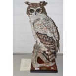A Florence Italian model of an owl together with certificate