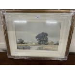 Douglas Snowdon, study of a rural scene with river, watercolour, framed and glazed