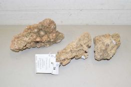 Three fossilised stalactites from Yacatan Peninsula, Mexico