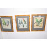 Three reproduction prints of tropical birds after Cassell's canaries and caged birds, glazed with