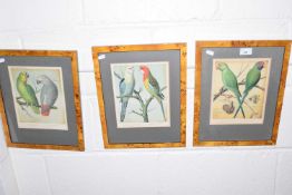 Three reproduction prints of tropical birds after Cassell's canaries and caged birds, glazed with