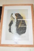 Reproduction print of a spaniel by Robert J May, framed and glazed