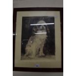Portrait of a dog by Nadl. Meyer-Thehardt?, engraving, framed and glazed