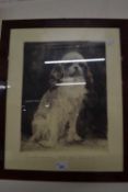 Portrait of a dog by Nadl. Meyer-Thehardt?, engraving, framed and glazed