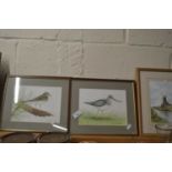 Two pictures of birds by R Millington, framed and glazed