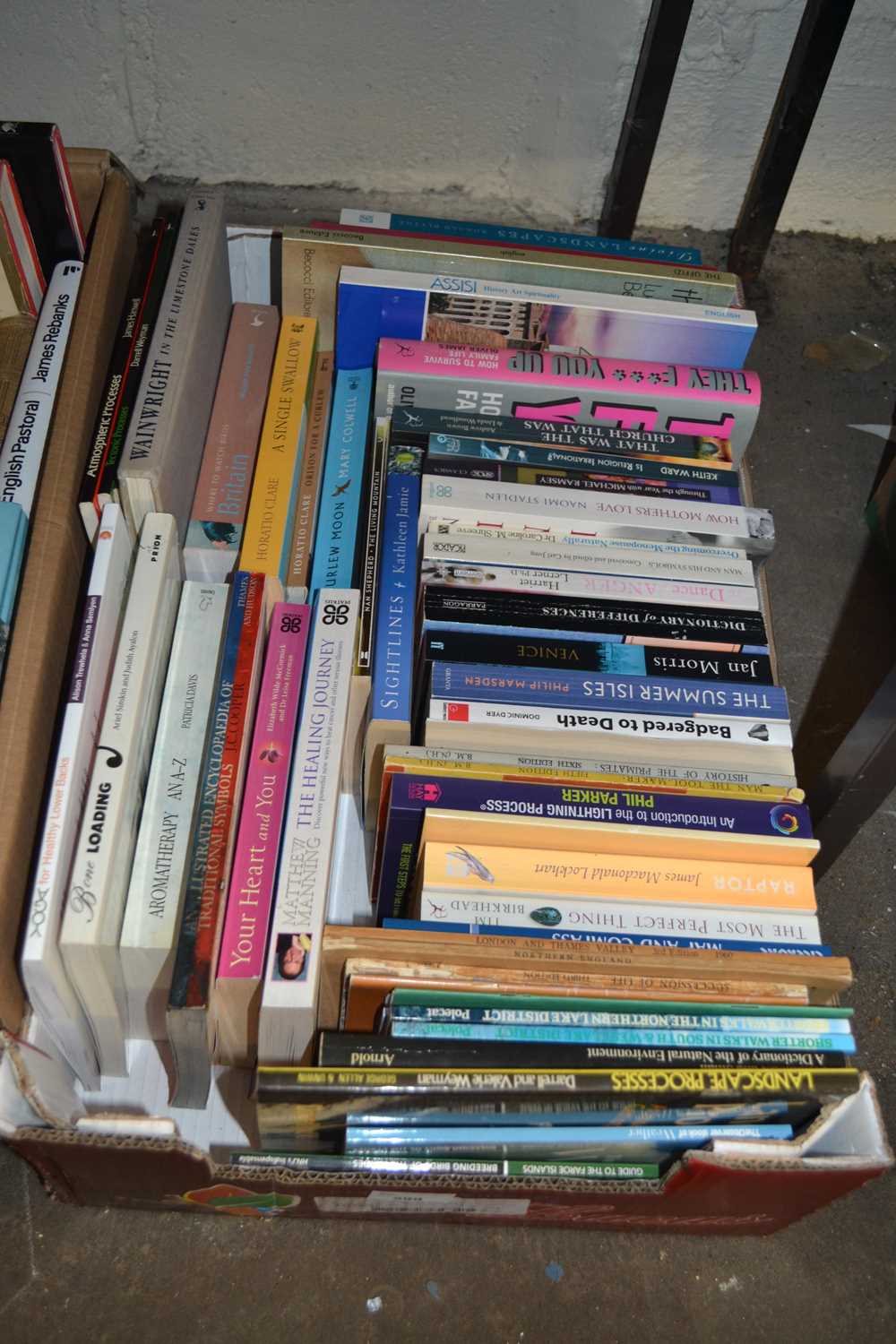 Box of assorted books on Wellbeing and others