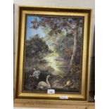 20th Century school river scene with swans, oil on canvas, gilt frame