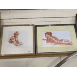 B Aitchison pair of studies nudes