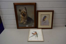 Mixed Lot: Two studies of birds together with a further study of a Yorkshire Terrier (3)