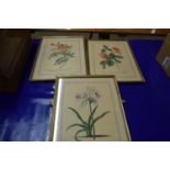 Three gilt framed botanical prints