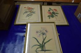 Three gilt framed botanical prints