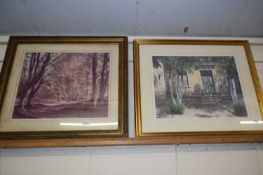 M Wood - Oleander Shadows, coloured print, framed and glazed together with a further photographic
