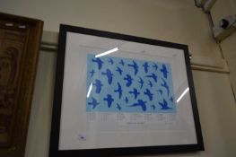 Birds in flight, limited edition print, 57 out of 250, framed and glazed