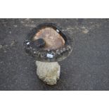 Concrete bird bath