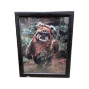 A framed 8x10" colour photograph, bearing the signature of Star Wars' Wicket, Warwick Davis, in