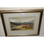 Sheep on a mountainous landscape, watercolour, framed and glazed