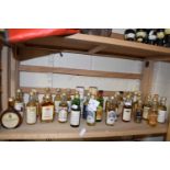 A collection of miniature bottles of Scotch Whisky and others to include Glen Grant, Queens View,