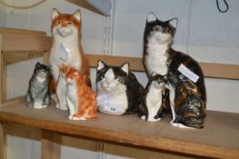 Collection of various Babbacombe pottery cats