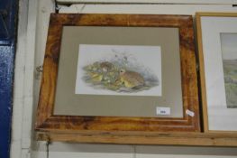 Partridges and chicks, reproduction print, framed and glazed