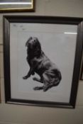 LUCY BOYDEL (BRITISH CONTEMPORARY), STUDY OF A BLACK LABRADOR, LIMITED EDITION PRINT NO 1 OF 25, F/