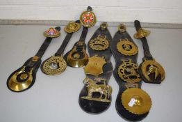 LEATHER STRAPS OF VARIOUS HORSE BRASSES