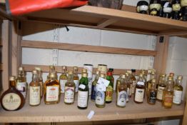 A collection of miniature bottles of Scotch Whisky and others to include Glen Grant, Queens View,