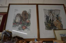 Pair of prints of owls, framed and glazed
