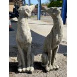 Pair of small composite seated whippets, height approx 55cm