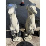 Two composite statues formed as seated whippets, height 75cm