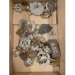 Collection of military cap badges to include The Norfolk Regiment, The Essex Regiment, Argyle &