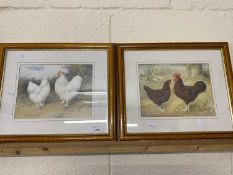 Two reproduction coloured prints of chickens