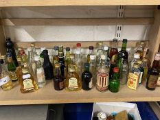 Collection of various miniature spirit bottles, some with contents, others empty