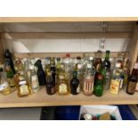 Collection of various miniature spirit bottles, some with contents, others empty