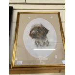 Portrait study of a dog, framed and glazed