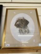 Portrait study of a dog, framed and glazed