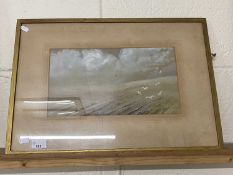 E Curl, study of sea gulls over a ploughed field, watercolour, framed and glazed