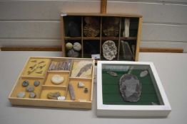 Three cases of various fossils, mineral samples, stone hand tools etc