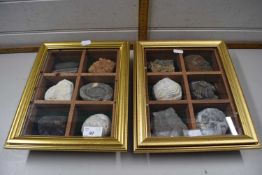 Two cases of framed fossils and minerals to include quartz, amonite and others