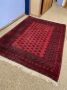 Modern red Afghan carpet, 293 x 203cm