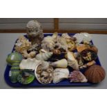 Mixed Lot: Various assorted sea shells