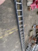 Large two section ladder