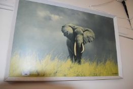 David Shepherd print of an elephant
