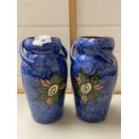 Pair of Royal Torquay Pottery vases