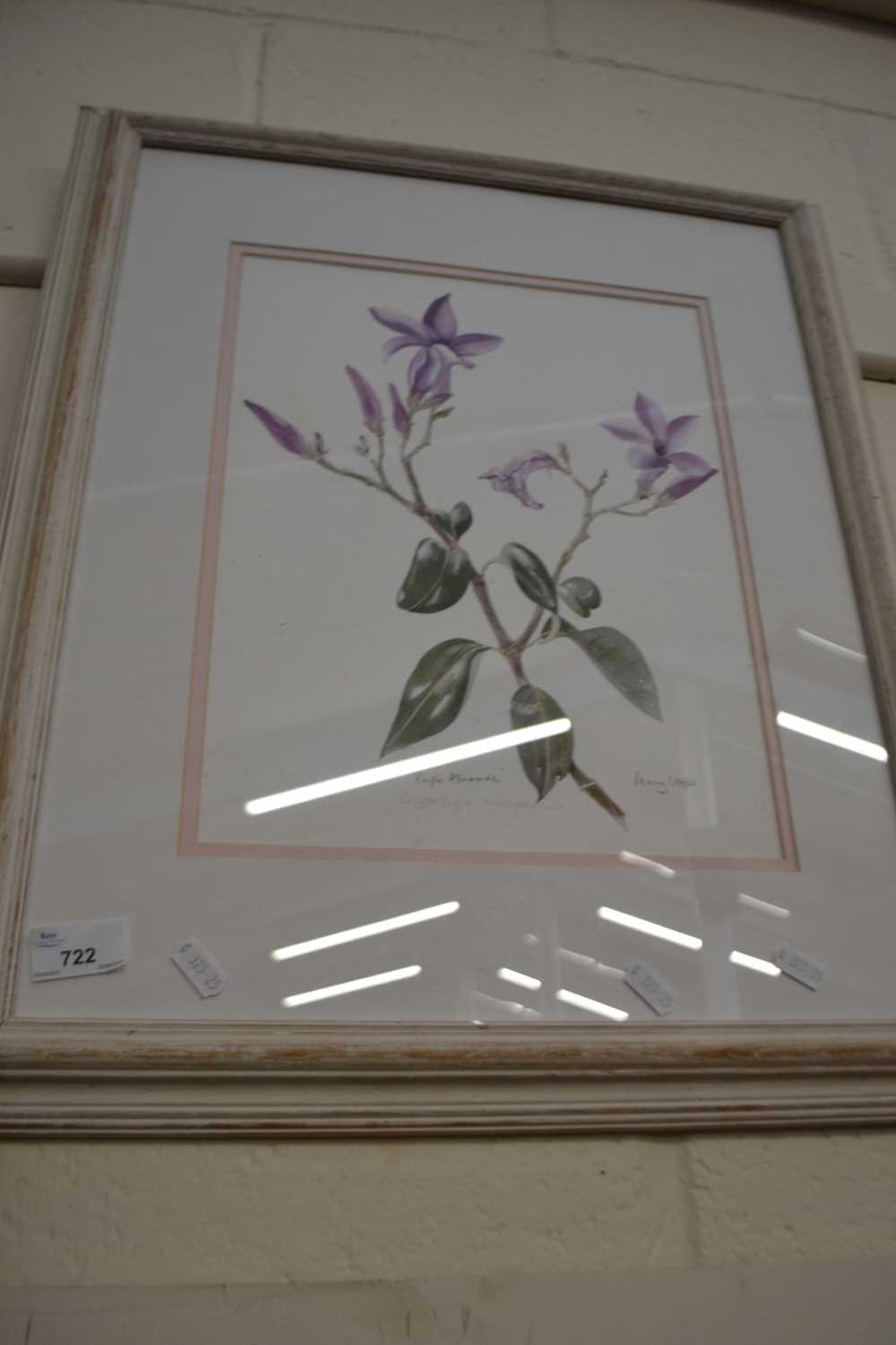 Watercolour of an orchid by Penny Chittas, framed and glazed